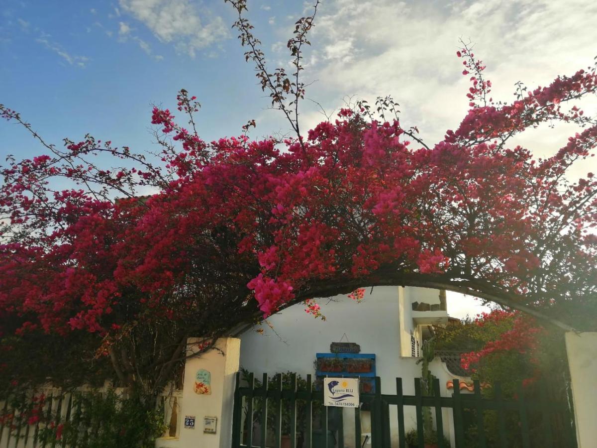 Villino Marrakech Daire Calasetta Dış mekan fotoğraf