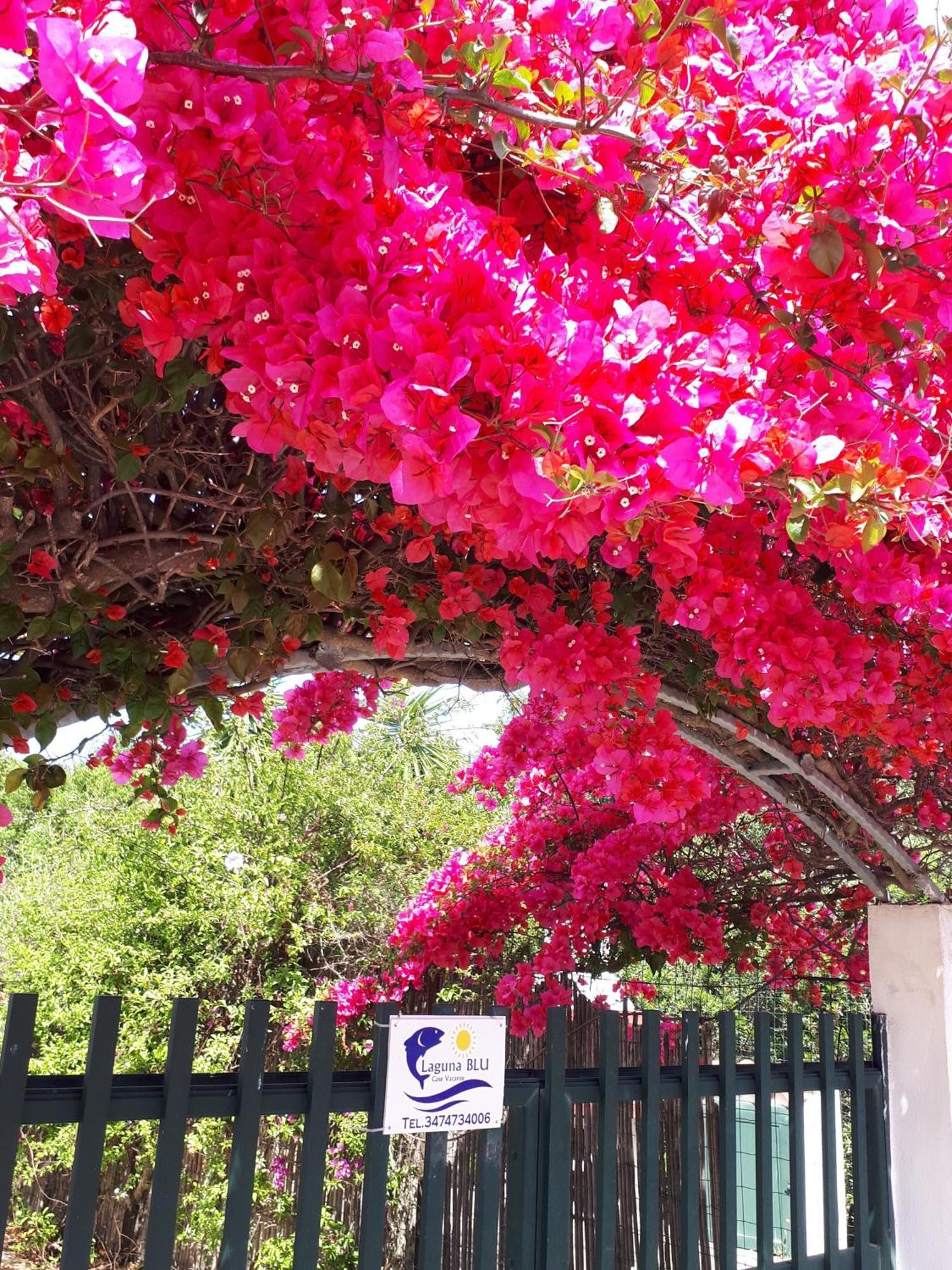 Villino Marrakech Daire Calasetta Dış mekan fotoğraf