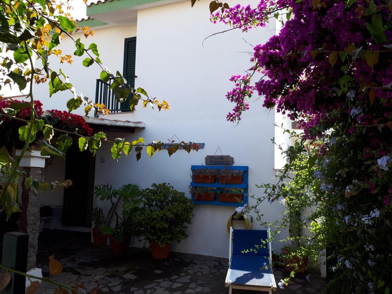 Villino Marrakech Daire Calasetta Dış mekan fotoğraf