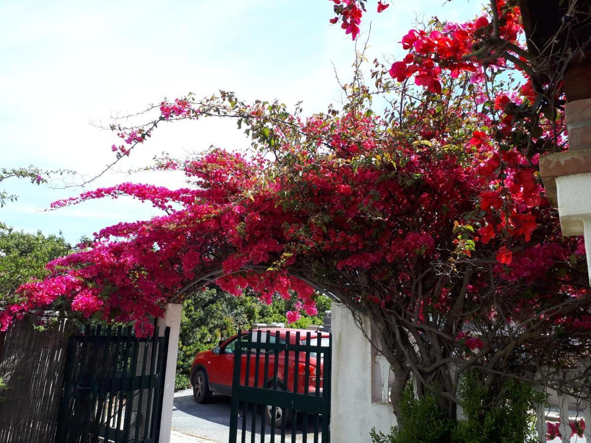 Villino Marrakech Daire Calasetta Dış mekan fotoğraf